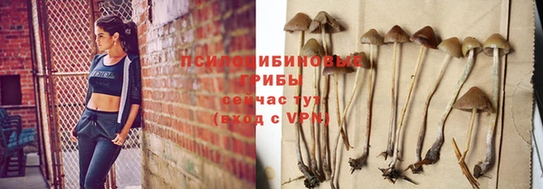 ПСИЛОЦИБИНОВЫЕ ГРИБЫ Абинск